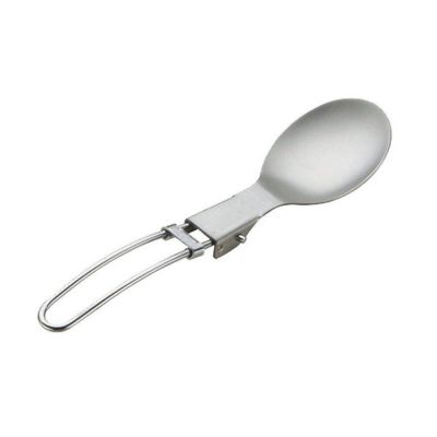 Stainless Spoon