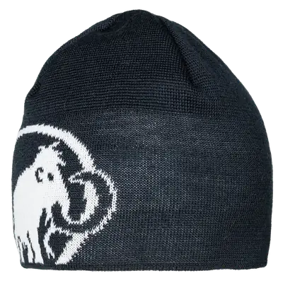 epice Tweak Beanie