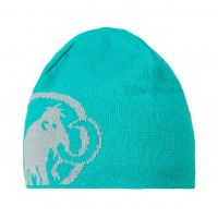 Tweak Beanie