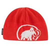 Tweak Beanie