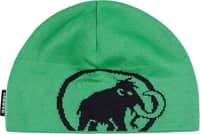 Tweak Beanie