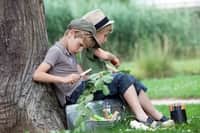 My First VRI N�7 - Hrab