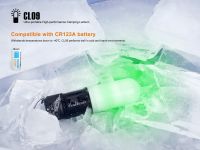 CL09