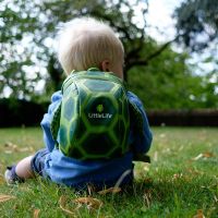 Animal Toddler Backpack 2l - Turtles