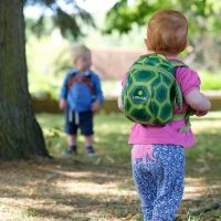 Animal Toddler Backpack 2l - Turtles