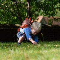 Animal Toddler Backpack 2l - Dinosaurus