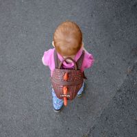 Animal Toddler Backpack - dinosaurus