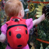 Animal Toddler Backpack 2l - Ladybird