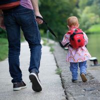 Animal Toddler Backpack 2l - Ladybird