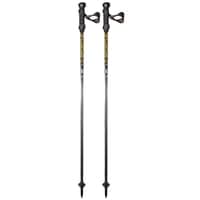 TRAIL SPEED CARBON POLES