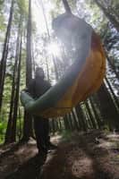 Corus -6�C - Regular