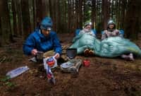 Corus -6�C - Regular