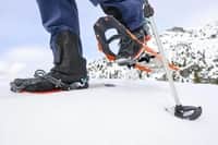Revo Explore Men's