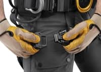 Astro - International