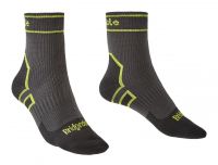 Storm Sock LW Ankle