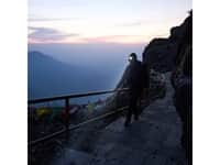 Intensity 300 Head Torch Rechargeable