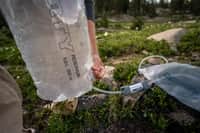 GravityWorks Water Filter System - 6 l