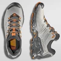 Ultra Raptor II Leather GTX