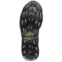 Ultra Raptor II Leather Wide GTX